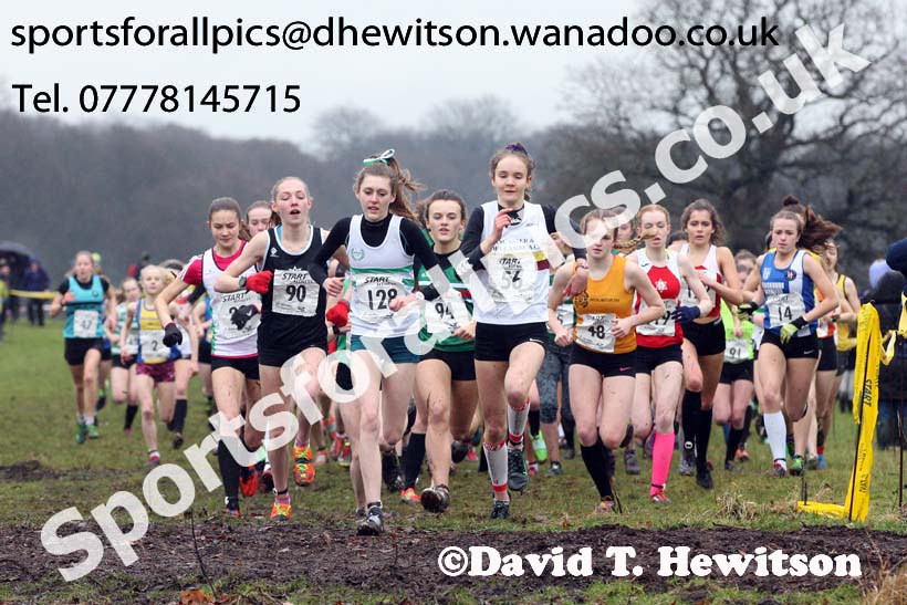 Womens under-17a  Northern Cross Country, Knowsley Safari Park. Photo: David T. Hewitson/Sports for All Pics